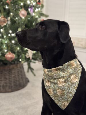 William Morris Pimpernel Green Dog Bandana Large/ XL